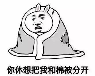 这么冷的天叫你到被窝里是害你吗,天冷了你确定不需要买台车吗