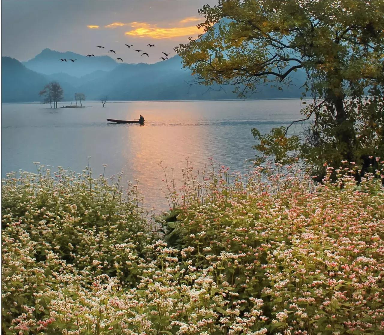 约！浙里有8个最值得一去的绝美日出地，随手一拍都是大片！