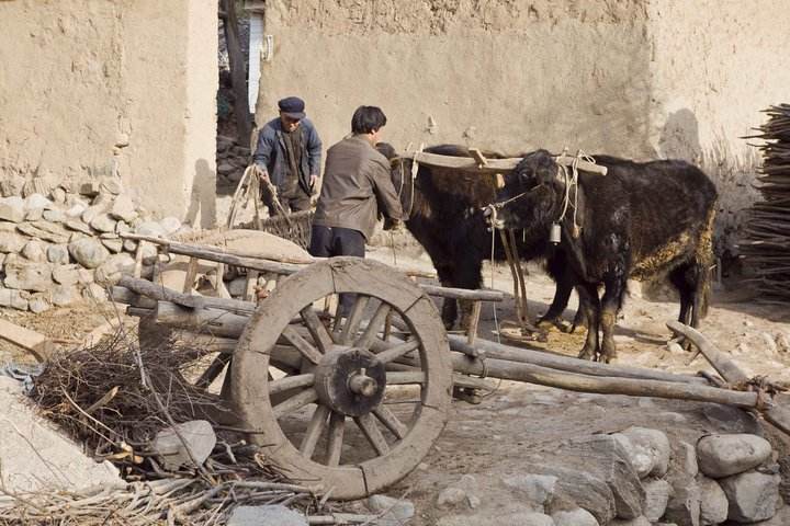 甘肃陇南礼县秦皇故里,老秦人来源于哪里