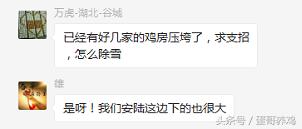 鸡舍塌,鸡舍塌了怎么救