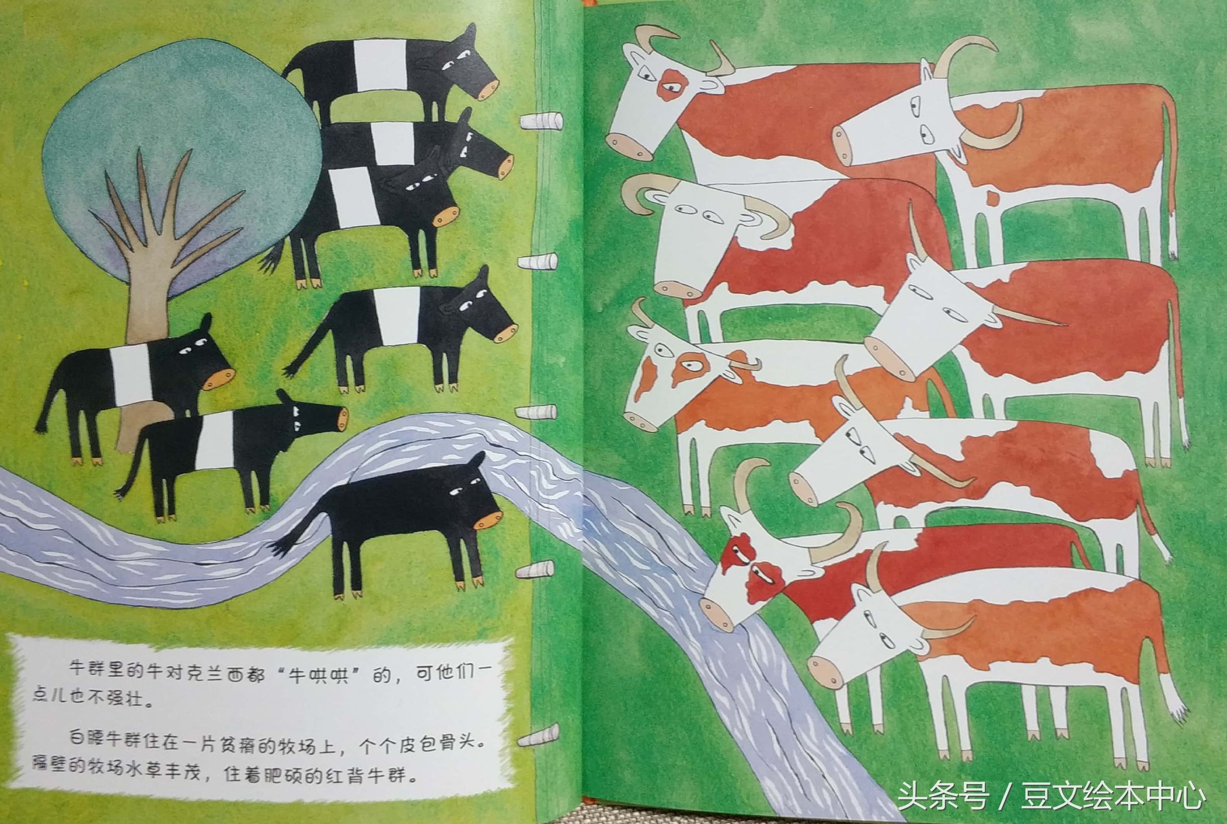 纵然被视为异类也勇敢面对的克兰西终于逆袭走向人生巅峰