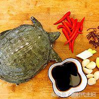 红烧甲鱼家常做法简单又好吃视频,甲鱼可以和什么菜一起红烧最好吃