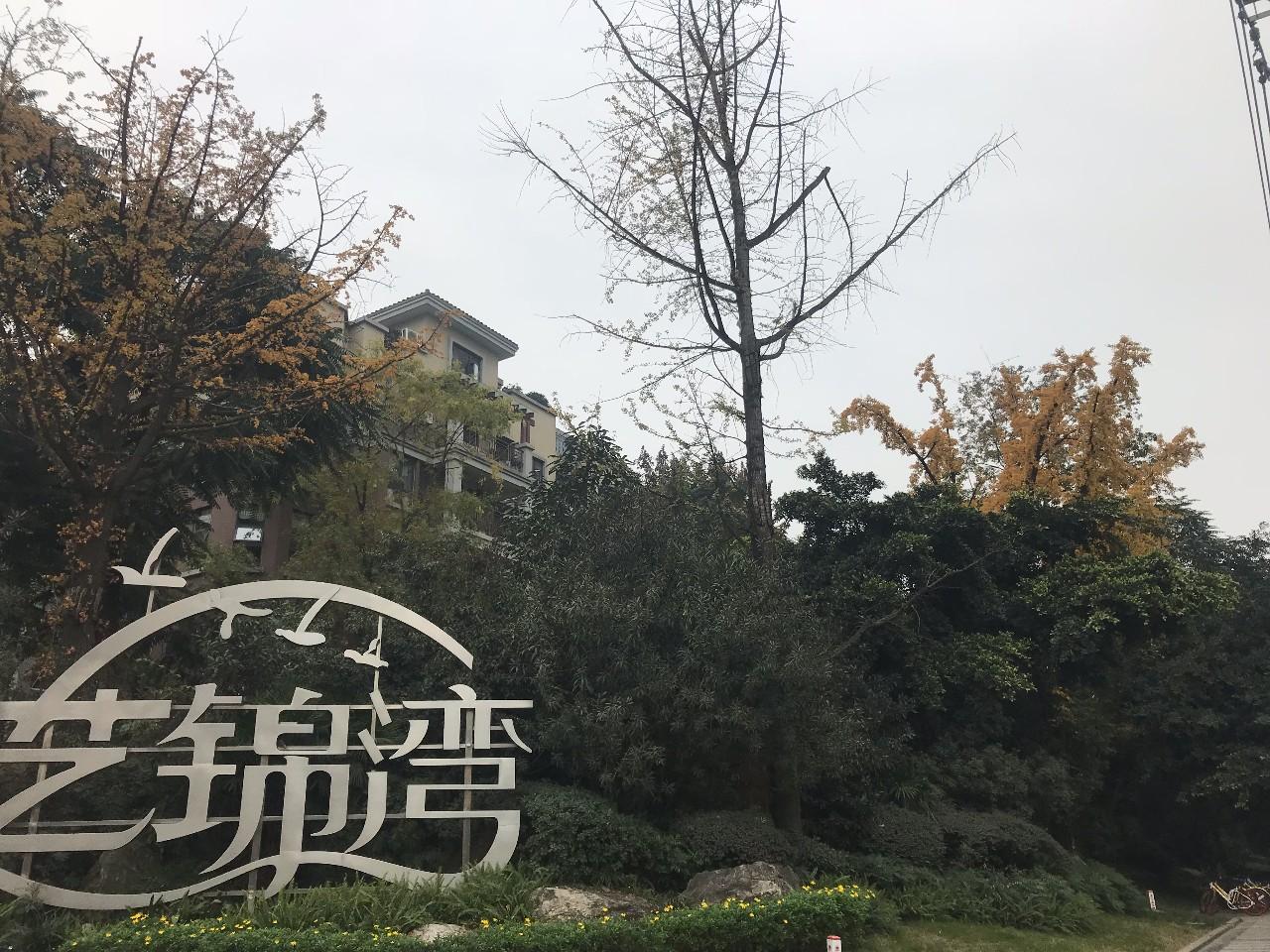 地铁上盖的商业综合体,地铁上盖商业综合体