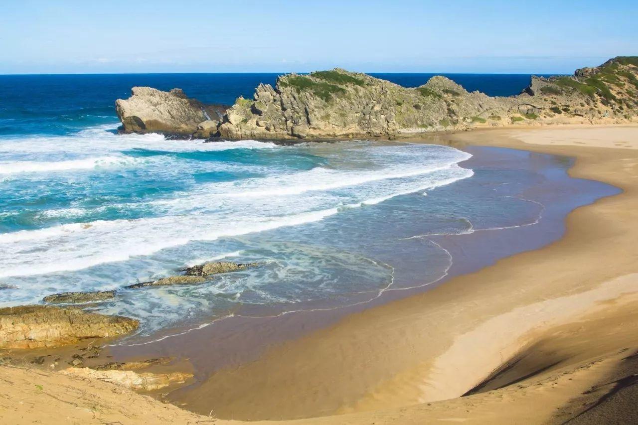 南非线路攻略｜与鲨共舞、沙漠开花、隔海观鲸，你了解非洲吗？