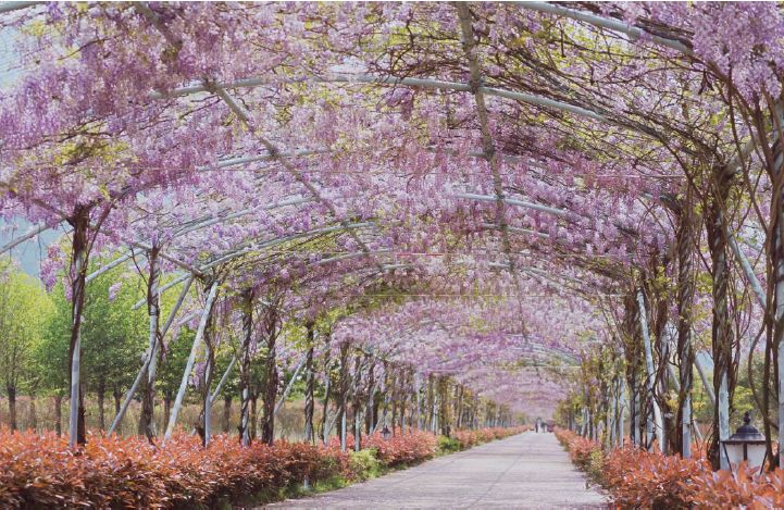 浙江省各地乡村旅游排名,浙江乡村游玩