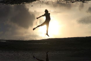 国际航班机票分几种舱,国际机票多程怎么订