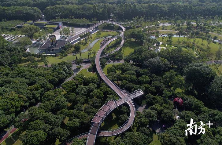 深圳新出好玩的地方,深圳市哪些公园比较值得去