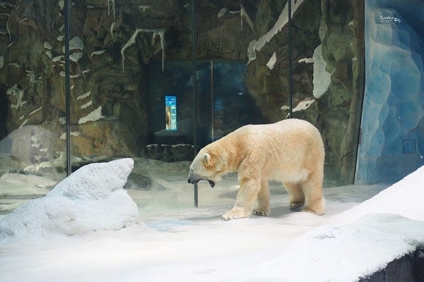 珠海长隆海洋王国穷游攻略,珠海长隆海洋王国看烟花攻略