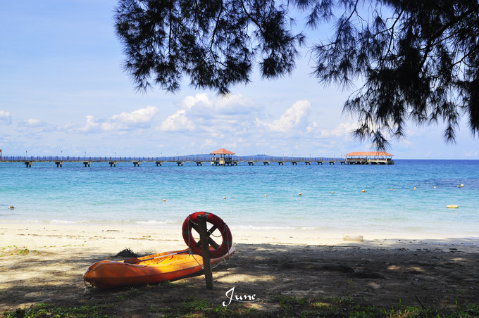 【一只熊的冒险】薄荷色夏日梦，马来西亚沙巴亚庇仙本那历险记——敦沙卡兰海洋公园（完）