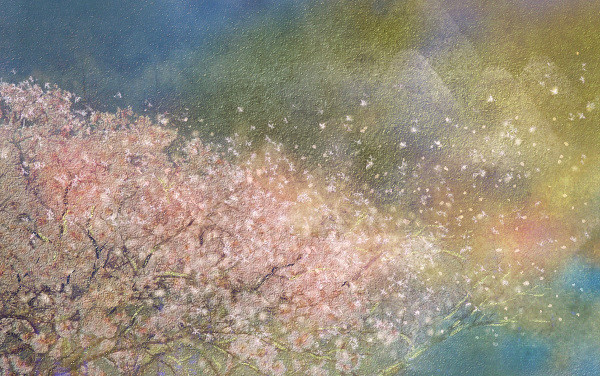 花开花落云卷云舒视频,花开花落云卷云舒什么意思