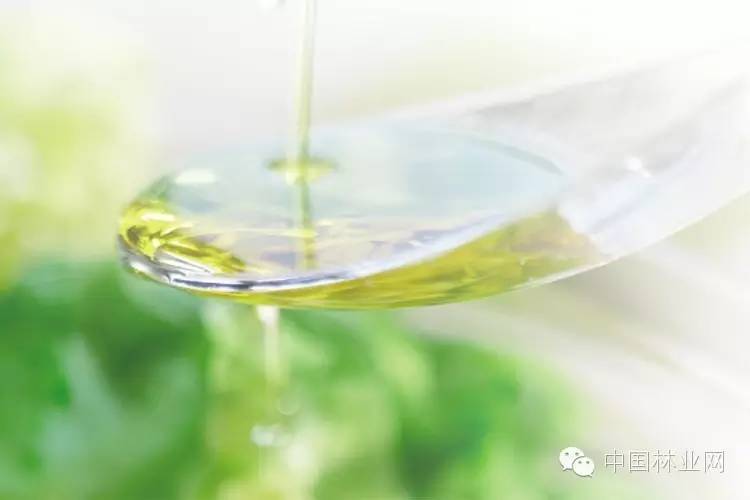 野生茶油的功效和食用方法,农村茶油功效与作用