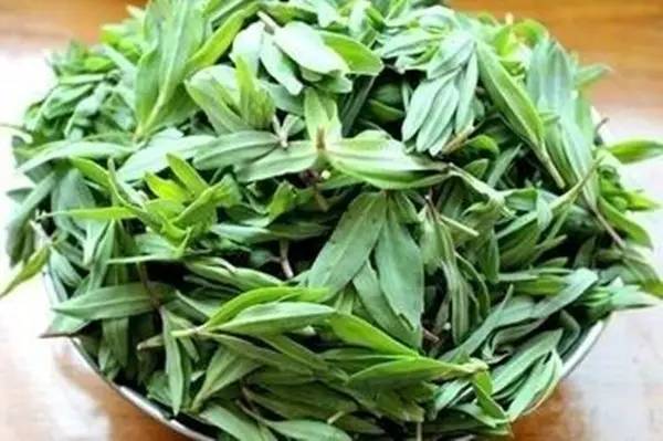 这6种海鲜要多吃,这6种野菜你都吃过吗