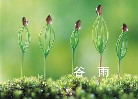 荷兰乳牛多维营养奶粉好吗,荷兰乳牛益生菌中老年奶粉