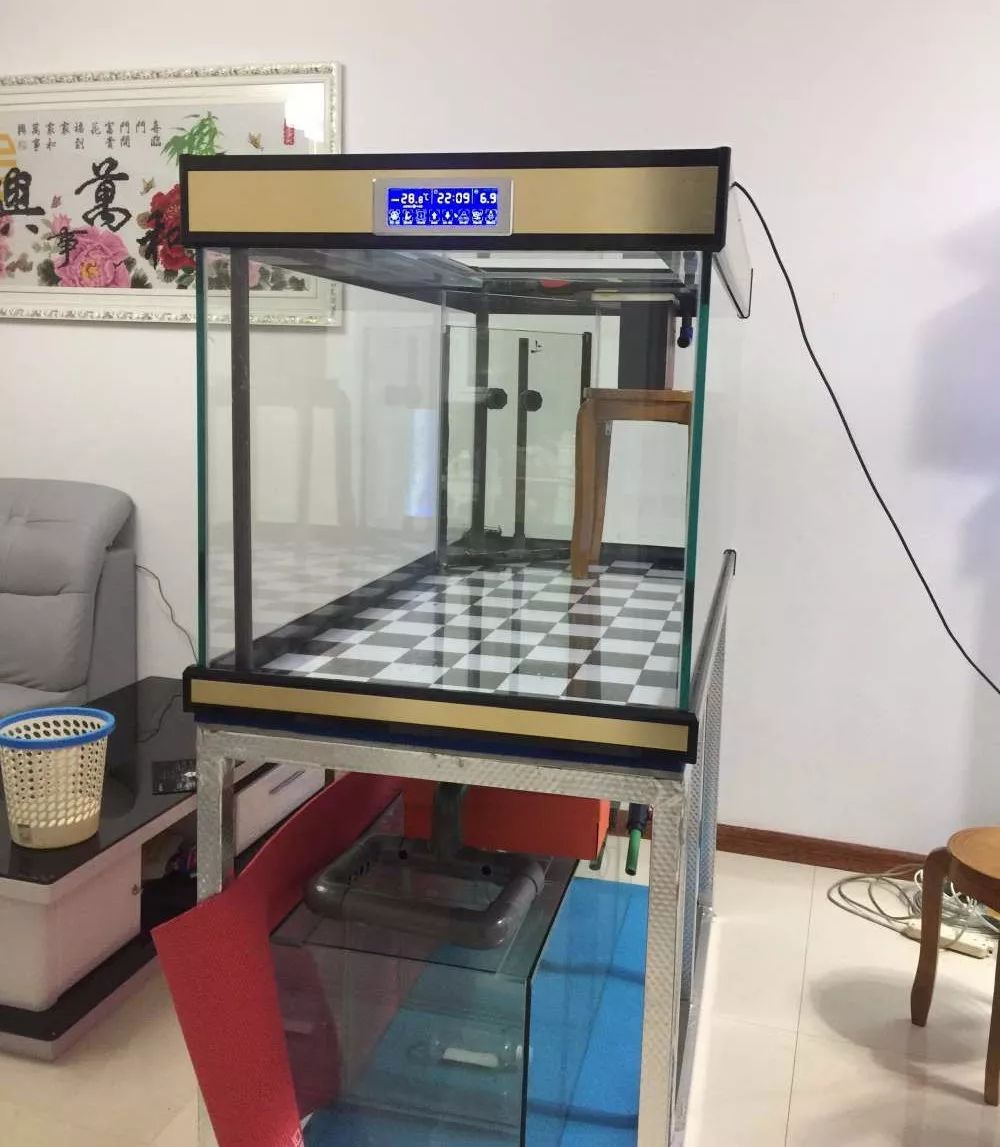 历时4个月，亲手做的缸终于运行！