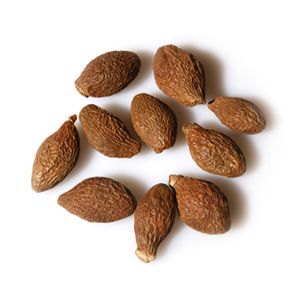 教师嗓子不行怎么护嗓上课,教师护嗓妙招百宝箱