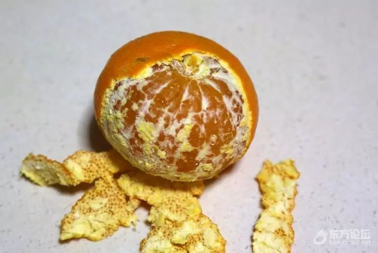 “果中爱马仕”!宁波这种本地桔子,店里一只卖20元!