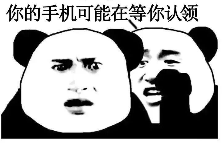 手机丢了报警警察会管吗,手机被盗报警可以追回吗