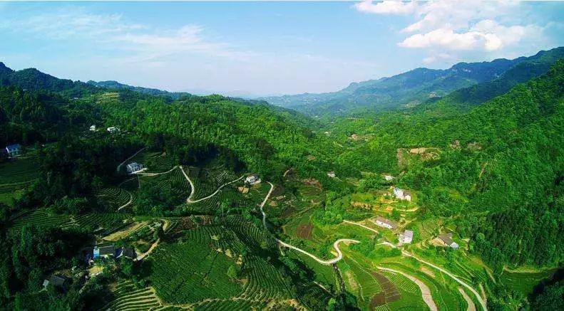 宜昌秭归正新鸡排,秭归正新食品厂