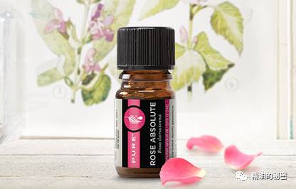 女性必备的精油排行榜前十名,女人三样必备品