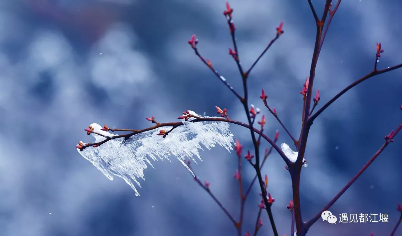 南方也有雪景,南方也有冰雪世界