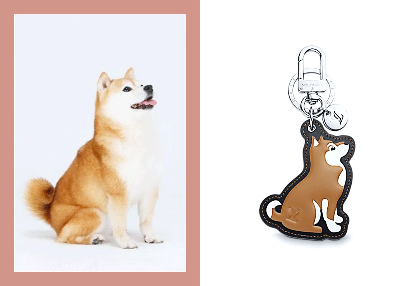 去年没放过鸡,今年这些品牌又开始虐狗了