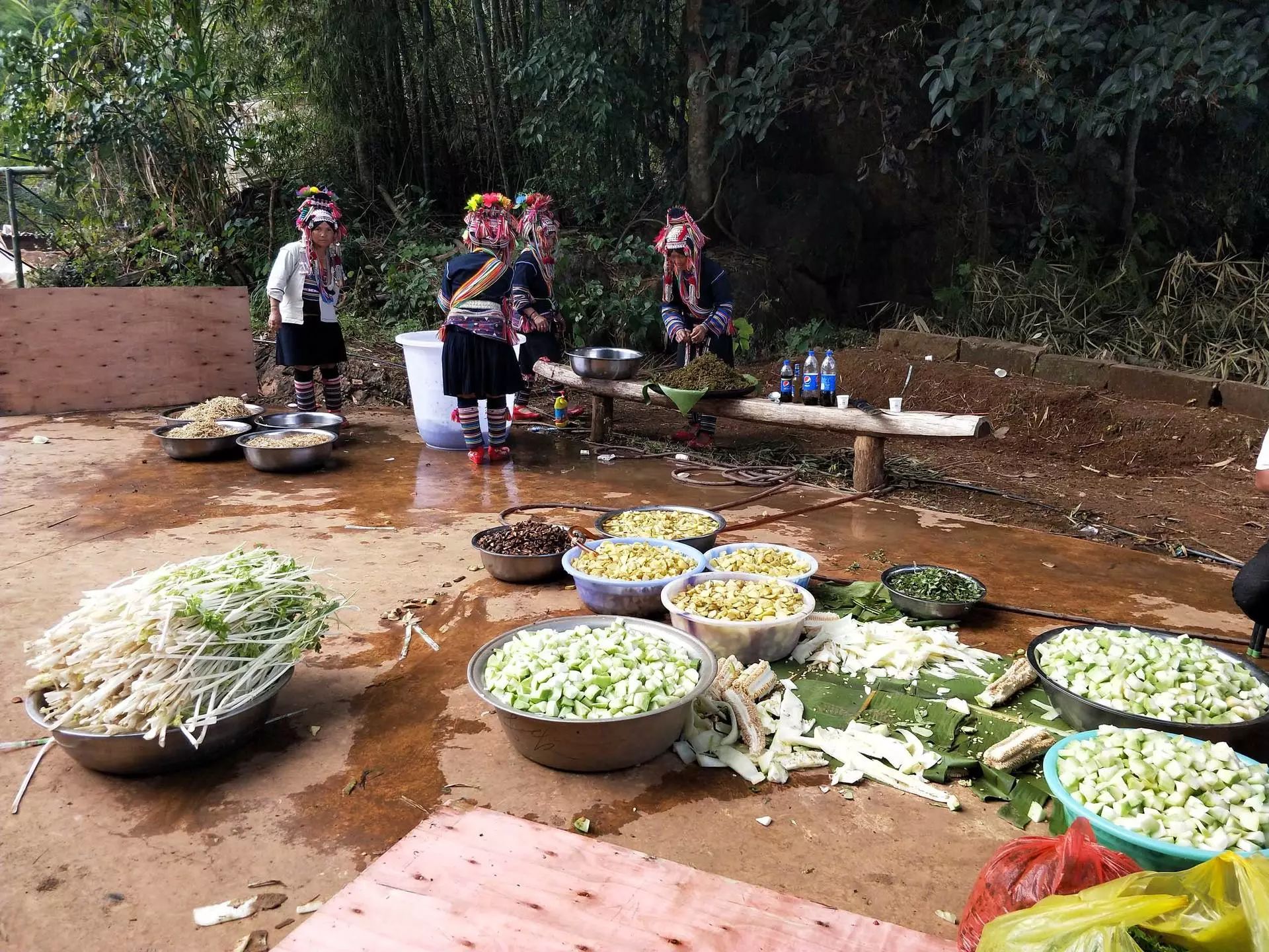 云南普洱过春节怎么过,普洱风情之旅