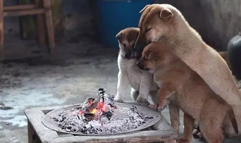 上清四秘之一,上清四秘都有哪些