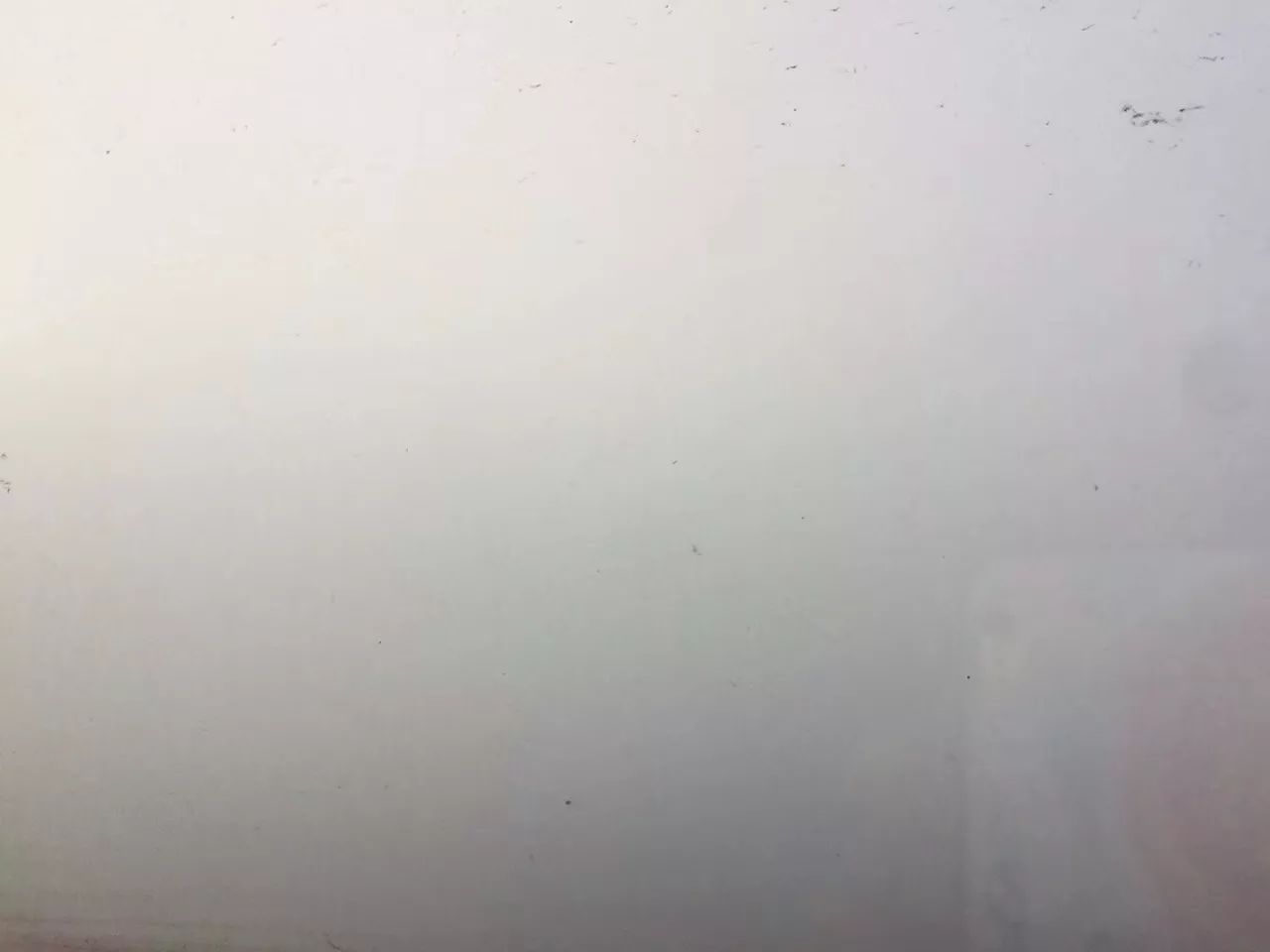 苏州今天有雾吗,苏州今天的风景