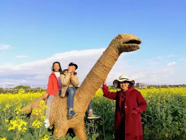 蒙自尼苏小镇油菜花,蒙自油菜花在尼苏小镇哪里