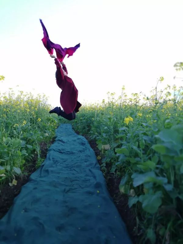 蒙自尼苏小镇油菜花,蒙自油菜花在尼苏小镇哪里