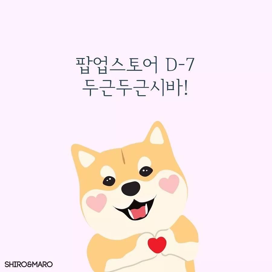 平民彩妆狗年限定,红色限定款彩妆有哪些