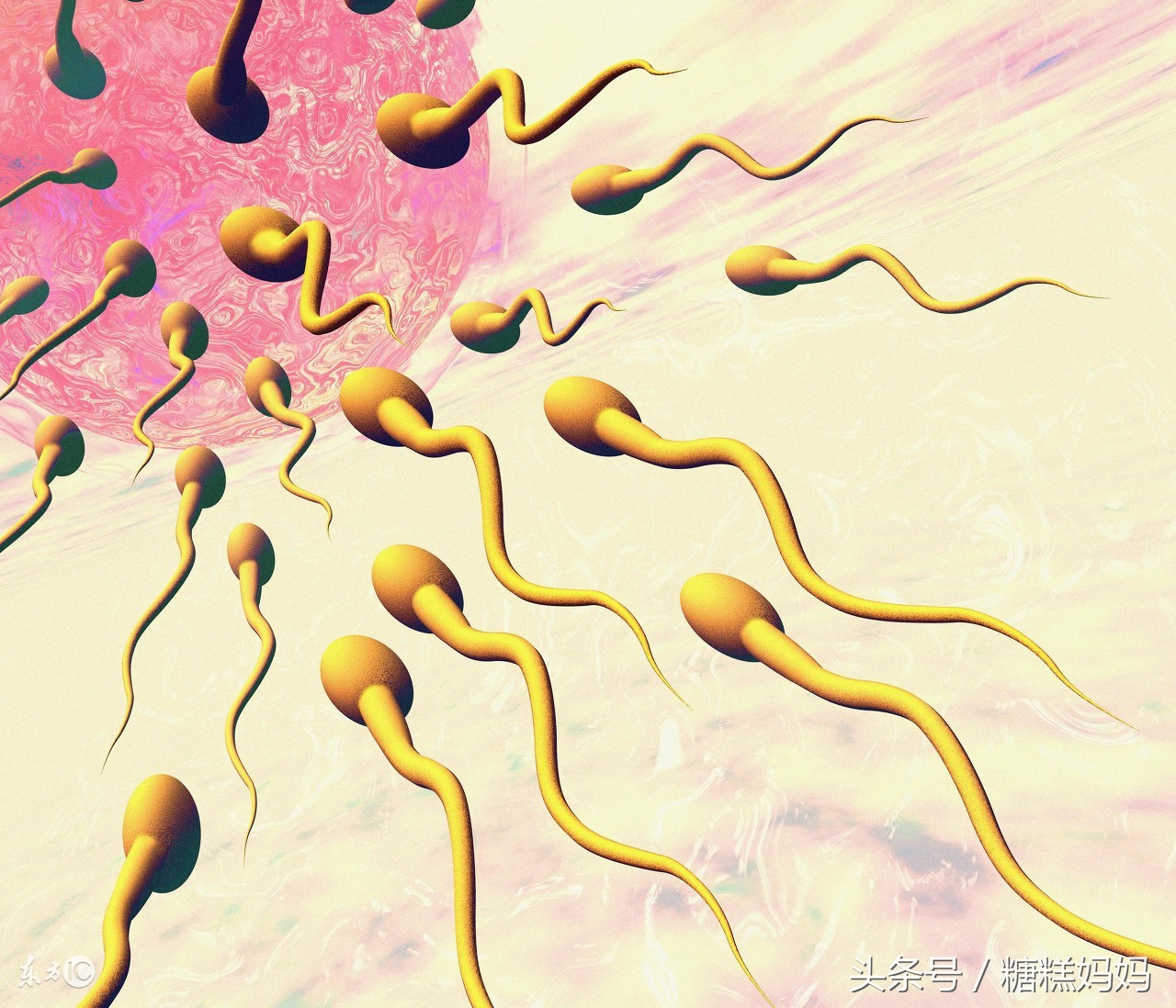 怀孕一个月的细节,怀孕一个月的孕妈请注意