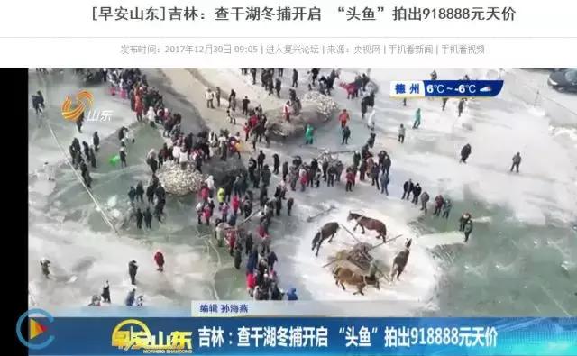 查干湖胖头鱼哪家最正宗,查干湖胖头鱼56斤抖音团购