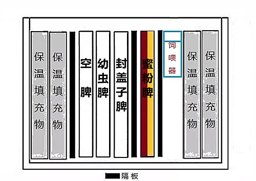 蜜蜂春繁分箱最简单方法,蜜蜂单脾春繁简易方法