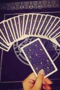 今晚深圳有什么活动,最近深圳周末有什么活动吗