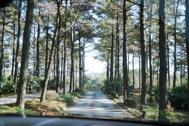 我和玛莎拉蒂的故事,我与玛莎拉蒂的故事