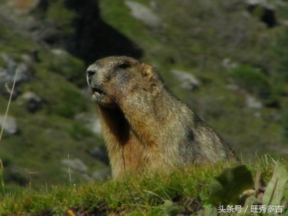 乌孙古道徒步注意事项和技巧,乌孙古道徒步穿什么衣服八月