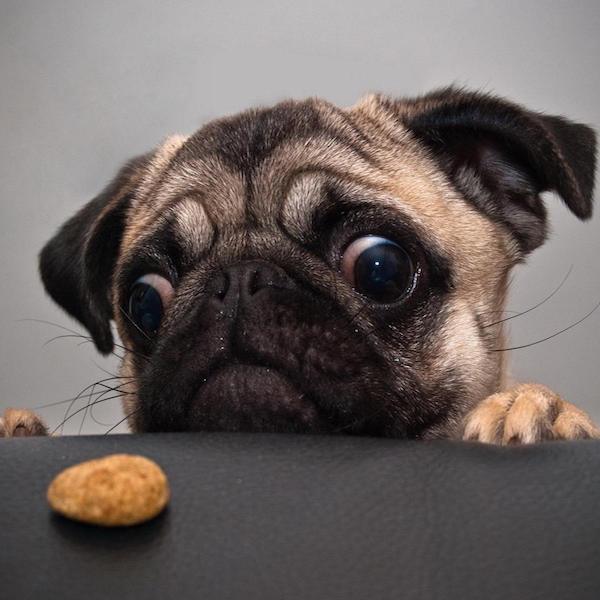 奢侈品季节限定款到底值不值得买,各奢侈品龙年限定