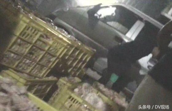 炼猪油厂污染范围多少米,曝光小作坊猪油