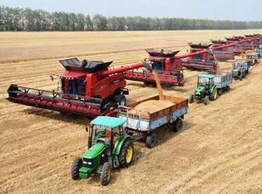 有哪些容易的小投资项目,有什么投资小的致富好项目