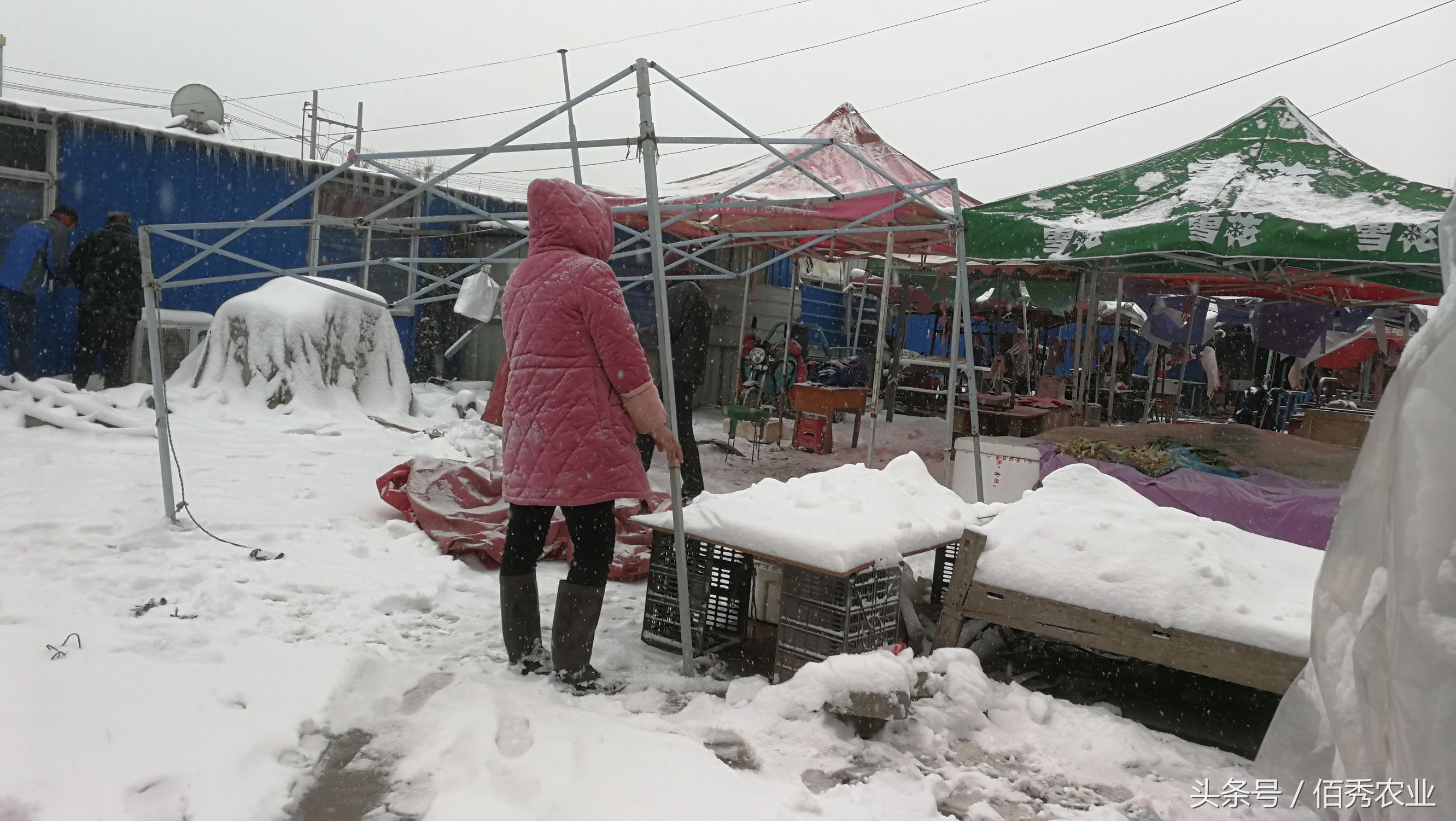 手工馒头摆摊2元一斤挣钱吗,农村做馒头赚钱