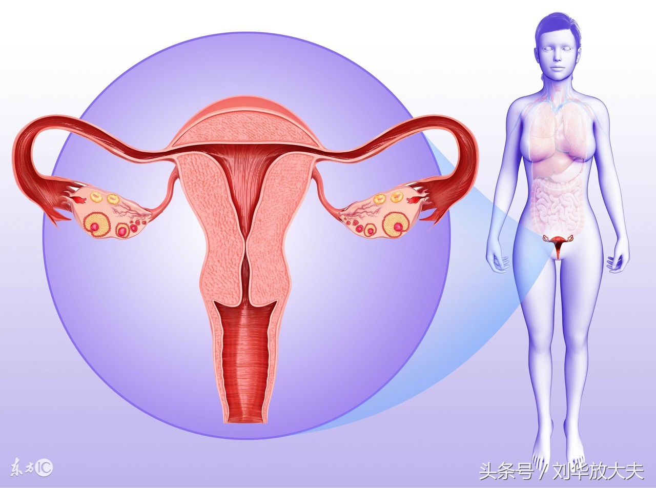 子宫下垂有什么方法补救,治疗子宫下垂的偏方