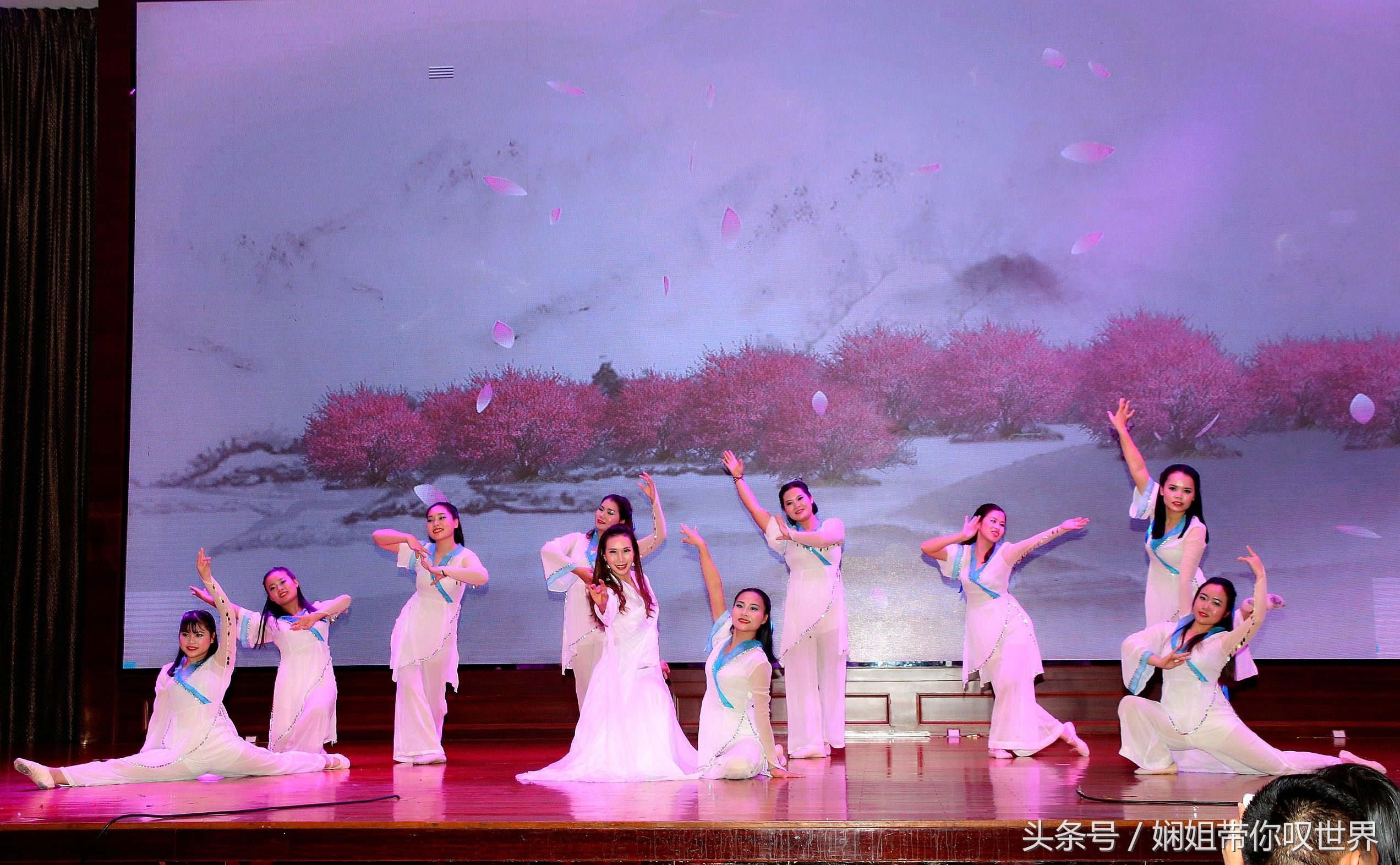 九载春华秋实今朝骏业日新的意思,春华秋实谱写事业华章