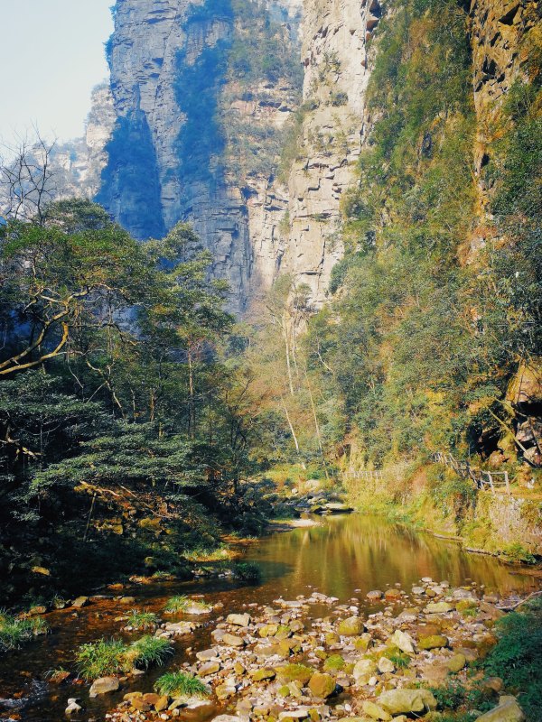 神奇美丽的张家界,张家界大自然仙境长视频