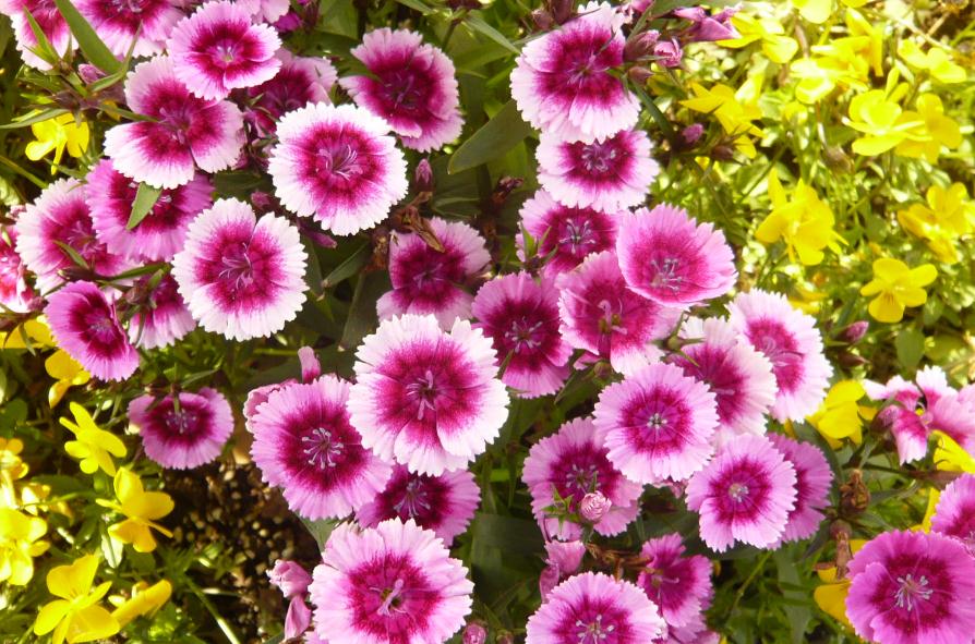 人生中的三大难关是什么,人生三大困境是指什么