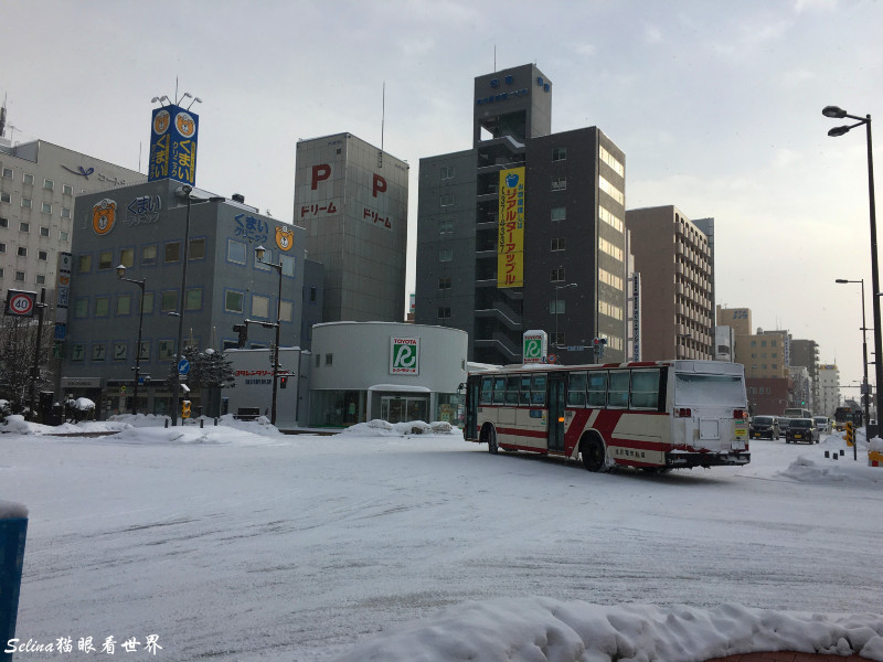 北海道的情书全文,北海道的雪日本的情书