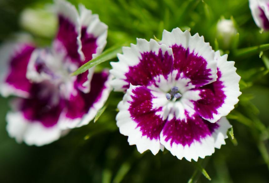 当你的人生陷入绝望,当你的人生遇到困境的时候