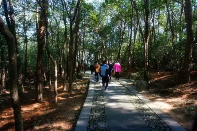 2018年浙江地方景点旅游日历大合集!含杭州,建德,温州,金华!