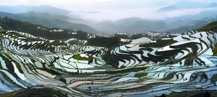 2018年浙江地方景点旅游日历大合集！含杭州，建德，温州，金华！