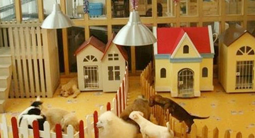 四个月宝宝感冒咳嗽需要去医院吗,4个月大小宝咳嗽怎么办